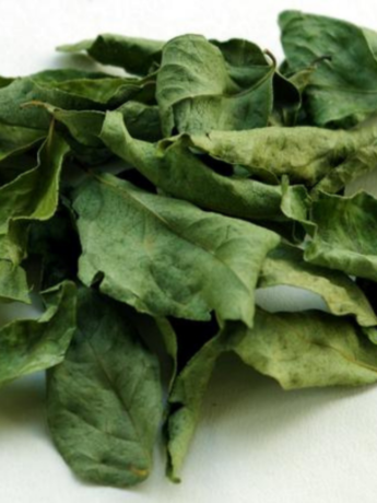 Dried Curry Leaves