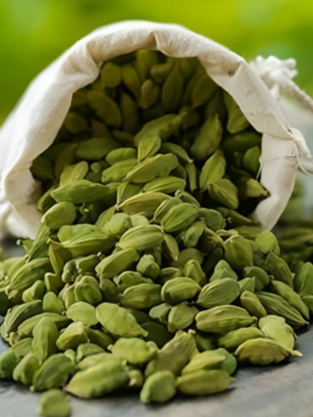 Cardamom